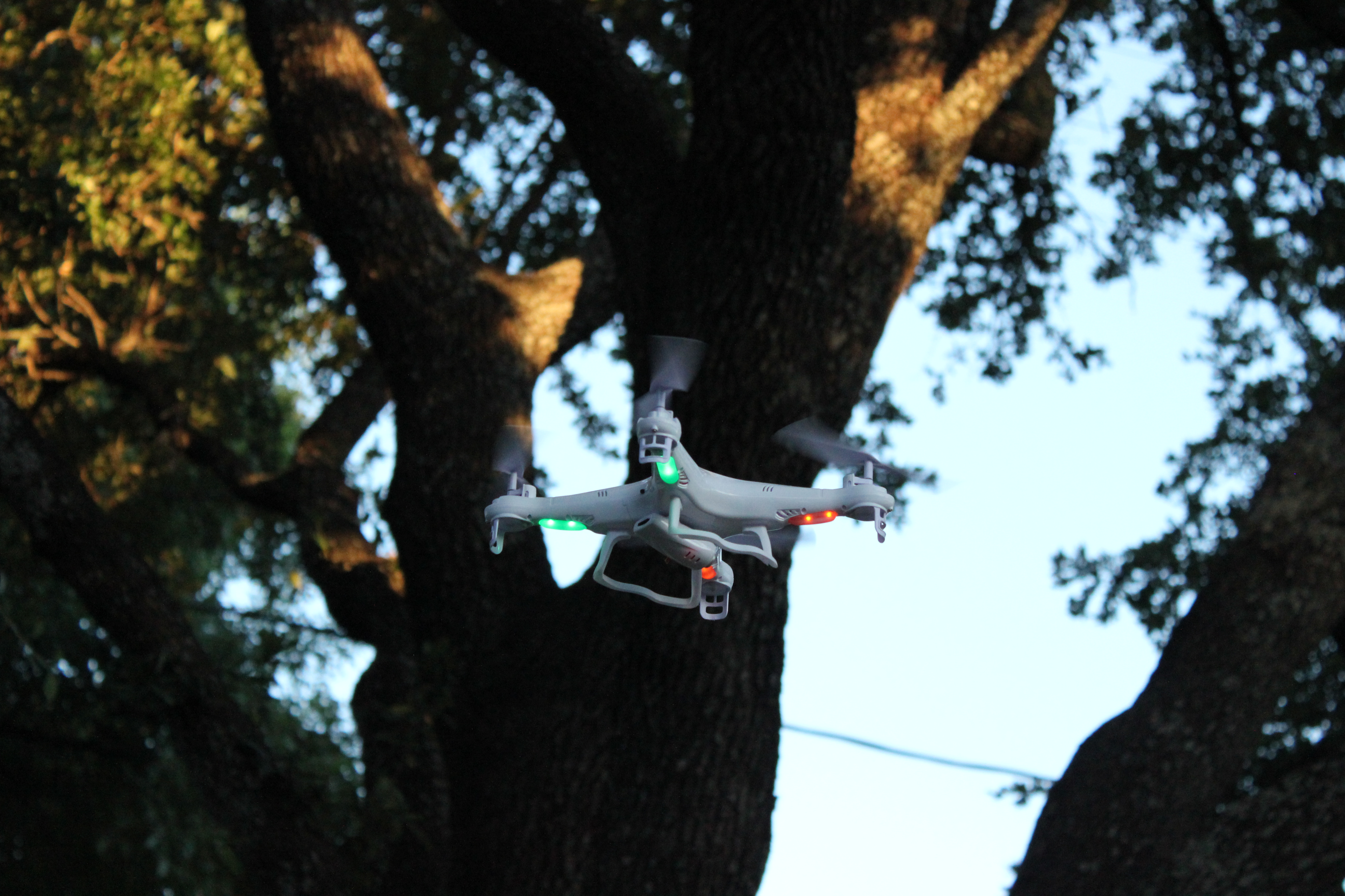 A drone flying in the evening photgraphed from below